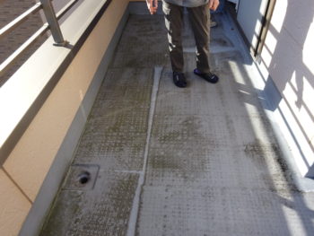 FRP　岐阜　価格　料金