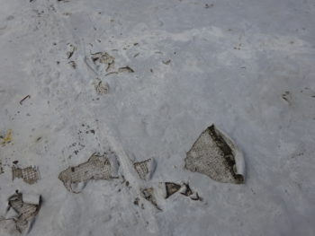 雨漏り　　対応　岐阜　羽島