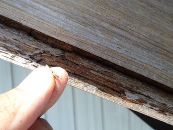 和風の家　雨どい　岐阜