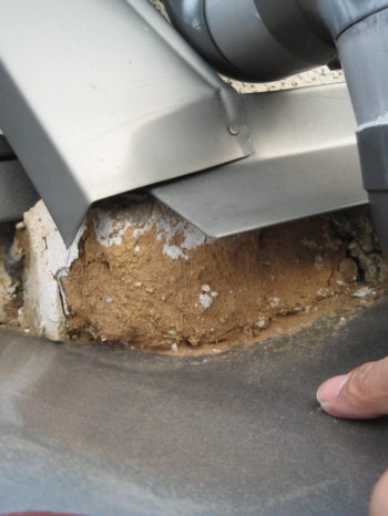 岐阜　一宮　シックイ