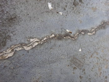 外壁　塗装　一宮　輪之内