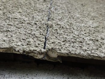 セキスイハウス　和風　羽島