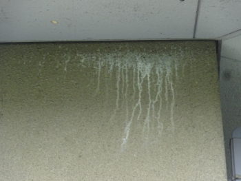 セキスイハウス　和風　羽島