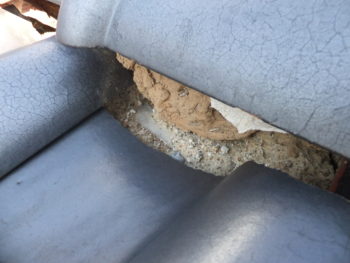 岐阜　瑞穂　セキスイハウス