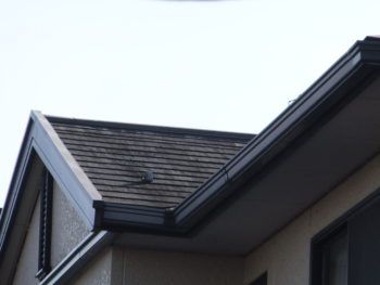 ダイワハウス　岐阜　羽島