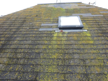 ダイワハウス　岐阜　羽島市