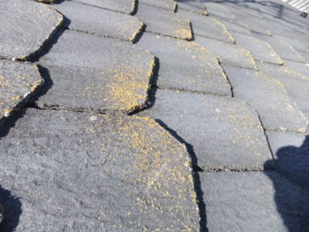 ダイワハウス　岐阜県羽島市