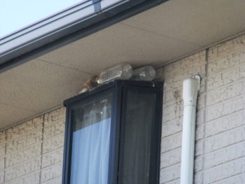 ダイワハウス　岐阜県羽島市