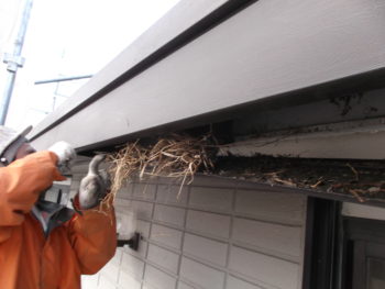 ダイワハウス　岐阜県羽島市