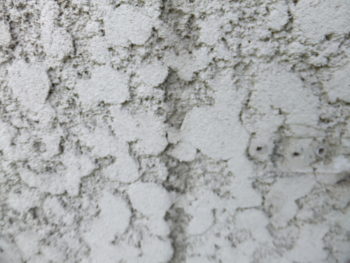 パナホーム　海津市平田町