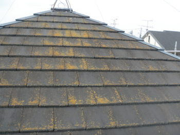 価格　金額　塗装パック