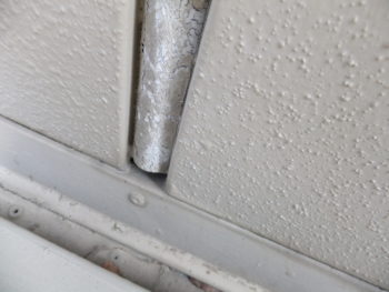 ハシマ　はしま　羽島