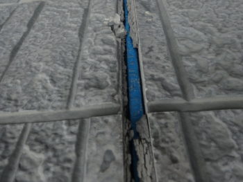 一宮市　コウモリ