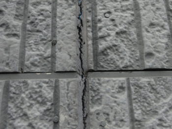 一宮市　コウモリ