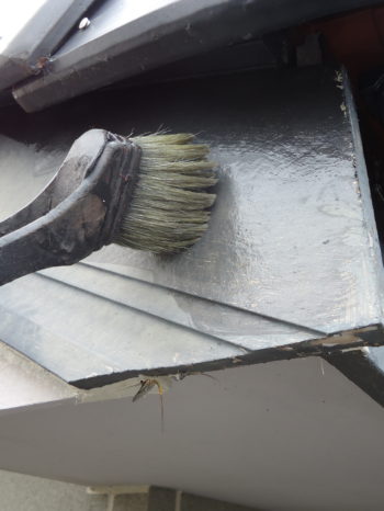 一宮　コウモリ