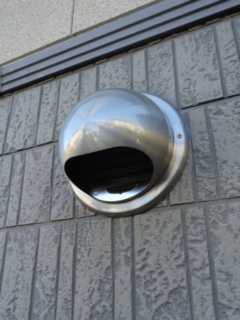 一宮　コウモリ