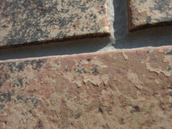 海津　塗装　プラン