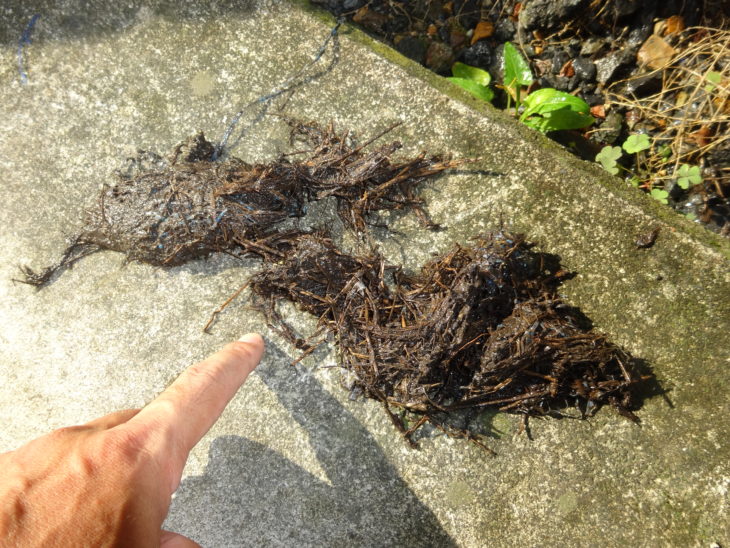   Ｂ様の声【塗装工事の不具合：失敗対応】（有）ペンテック