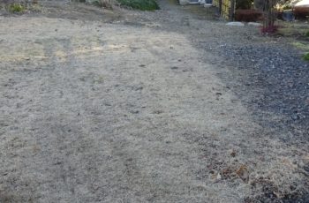 Ａ様の声【塗装工事の不具合：失敗事例】（有）ペンテック